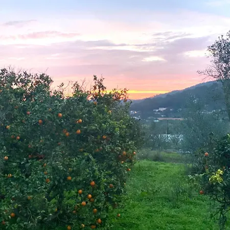 Country House With Private Pool * Sant Josep de sa Talaia
